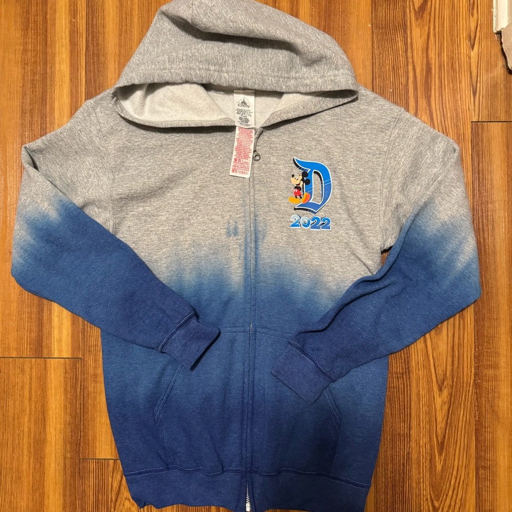 Disneyland 2022 Zip Hoodie